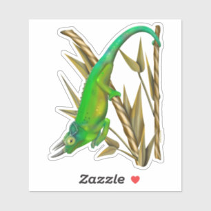 Jackson’s chameleon hanging out in the bamboo