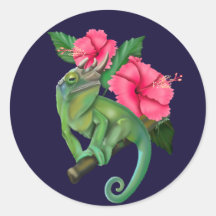 Jackson’s Chameleon with Hibiscus 