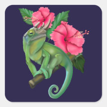 Jackson’s Chameleon with Hibiscus