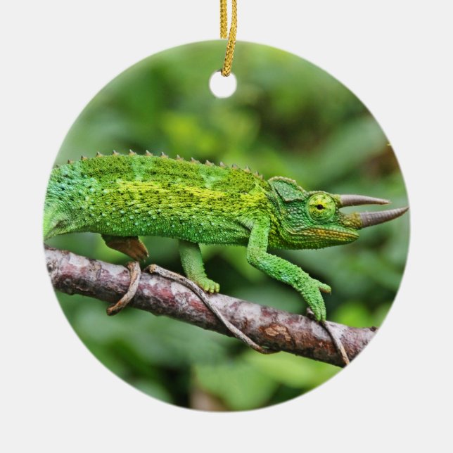 Jacksons Chameleon Ceramic Ornament (Front)