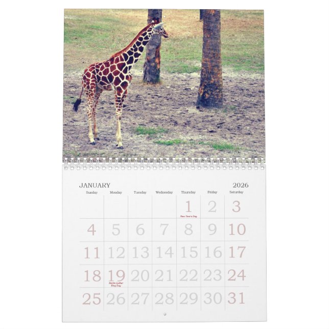 Jacksonville Zoo and Gardens Calendar (Jan 2026)