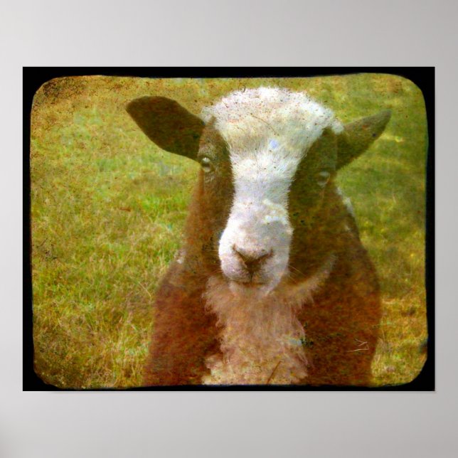 Jacob Lamb Poster (Front)