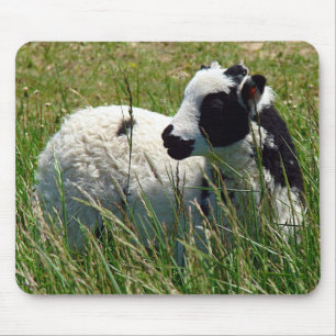 Jacob Ram Lamb Mouse Pad