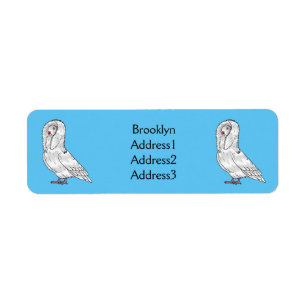 Jacobin pigeon bird cartoon illustration