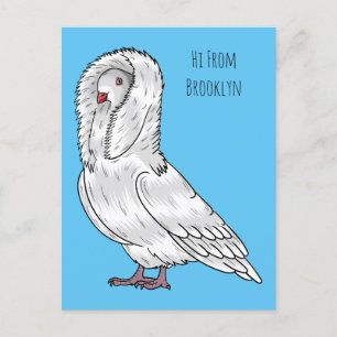 Jacobin pigeon bird cartoon illustration  postcard