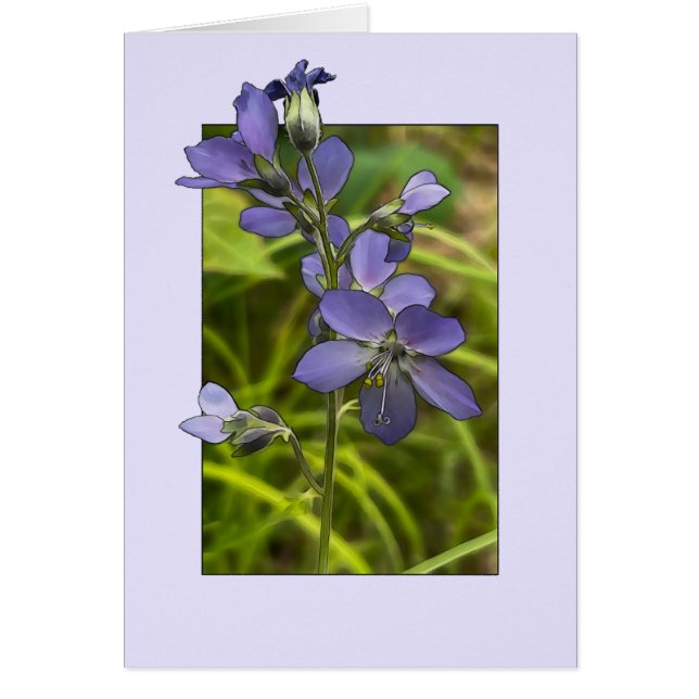 Jacob's Ladder - 5" x 7" Art Card (Front)