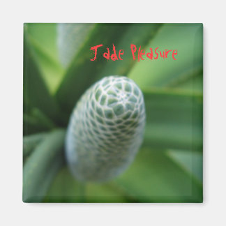 Jade Pleasure Magnet