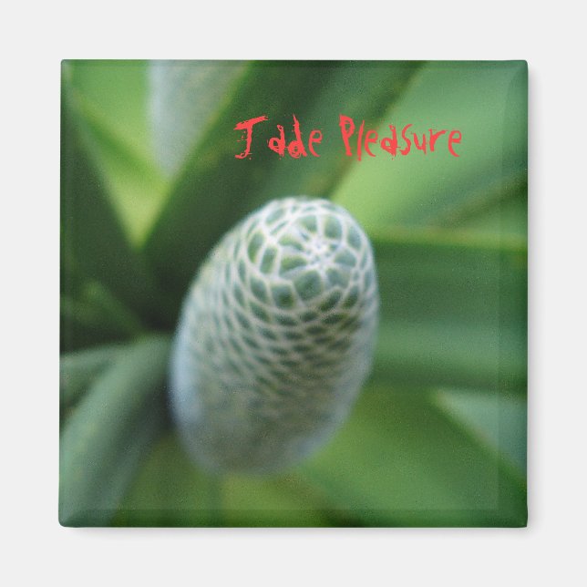 Jade Pleasure Magnet (Front)