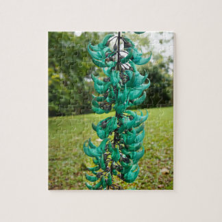 Jade Vine, Botanical Garden, Maui, Hawaii, USA Jigsaw Puzzle