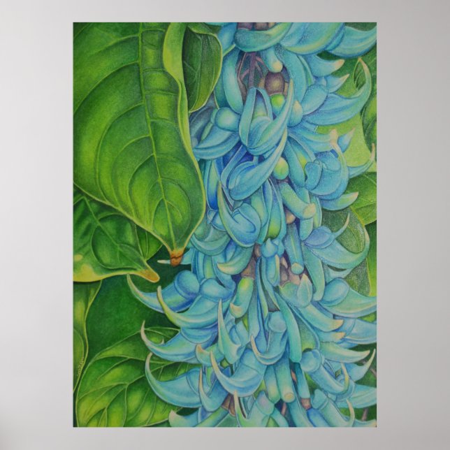 Jade Vine Poster (Front)