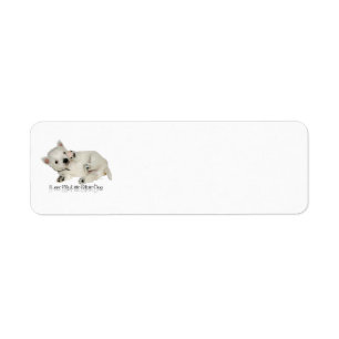 J'adore mon petit chien blanc - chiot Westie