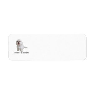J'adore mon petit chien blanc - Havanais