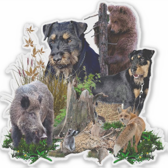  Jagdterrier Apache v. Renbrad. (Front)