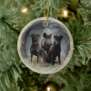 Jagdterrier , brave heart  tapestry poster acrylic ceramic ornament