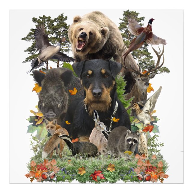 Jagdterrier, German Hunting Terrier  Photo Print (Front)