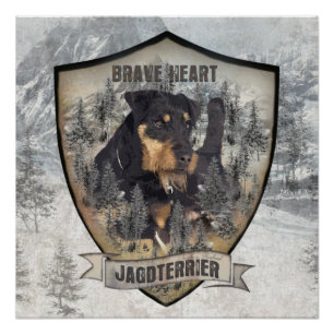 Jagdterrier, German Hunting Terrier Poster