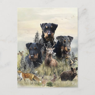 Jagdterriers v. Renbrad Kennel Postcard