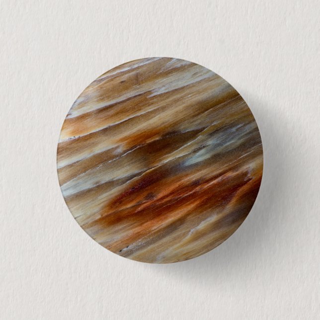 Jagged Petrified Wood 1 Inch Round Button (Front)
