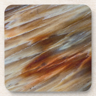 Jagged Petrified Wood Coaster