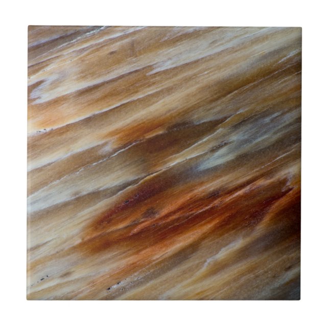 Jagged Petrified Wood Tile (Front)