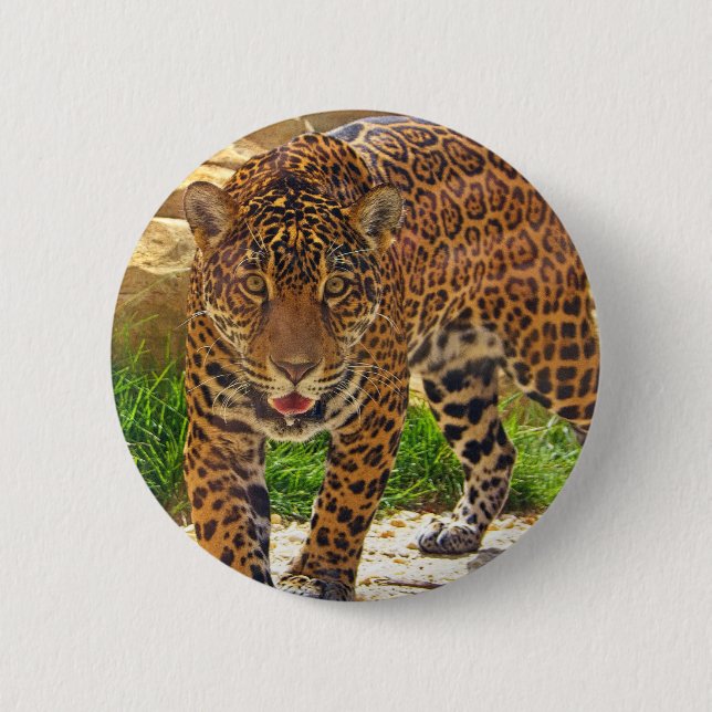 Jaguar 2 Inch Round Button (Front)
