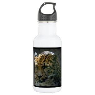 Jaguar 532 Ml Water Bottle