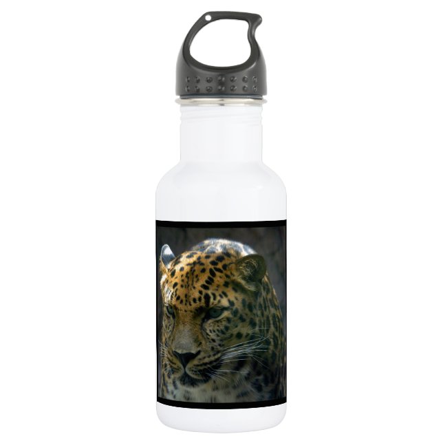 Jaguar 532 Ml Water Bottle (Front)