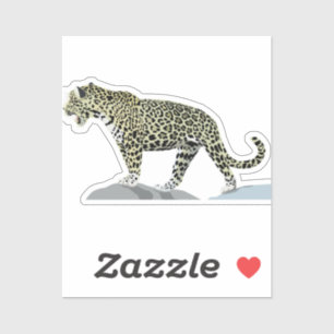 jaguar-animal-cat-wild-jungle