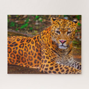 Jaguar Big Cats . Jigsaw Puzzle