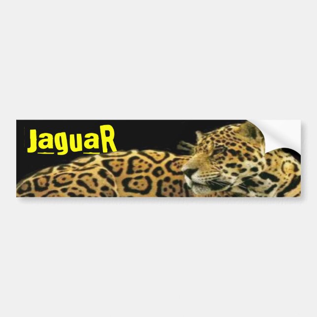 JaguaR Bumper Sticker (Front)