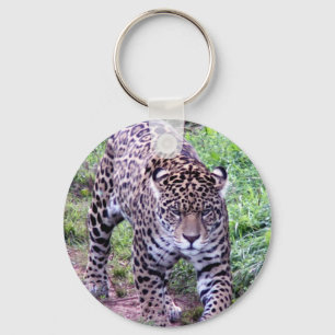 Jaguar Cat Pattern Animal Safari Jungle Art Nature Keychain