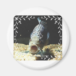 Jaguar Cichlid Magnet