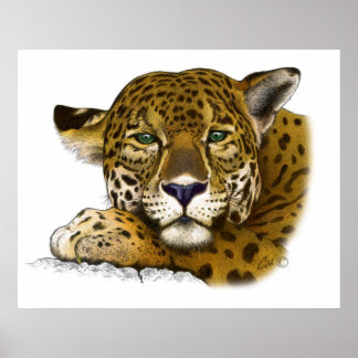 Jaguar coloured poster