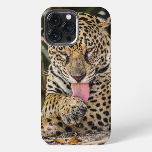 Jaguar Cub Case-Mate iPhone case