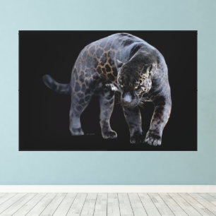 Jaguar Diablo black canvas print w frame