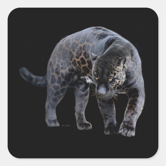 Jaguar Diablo black small square stickers (Front)