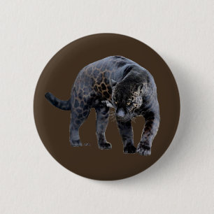 Jaguar Diablo brown button