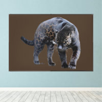 Jaguar Diablo brown canvas print w frame