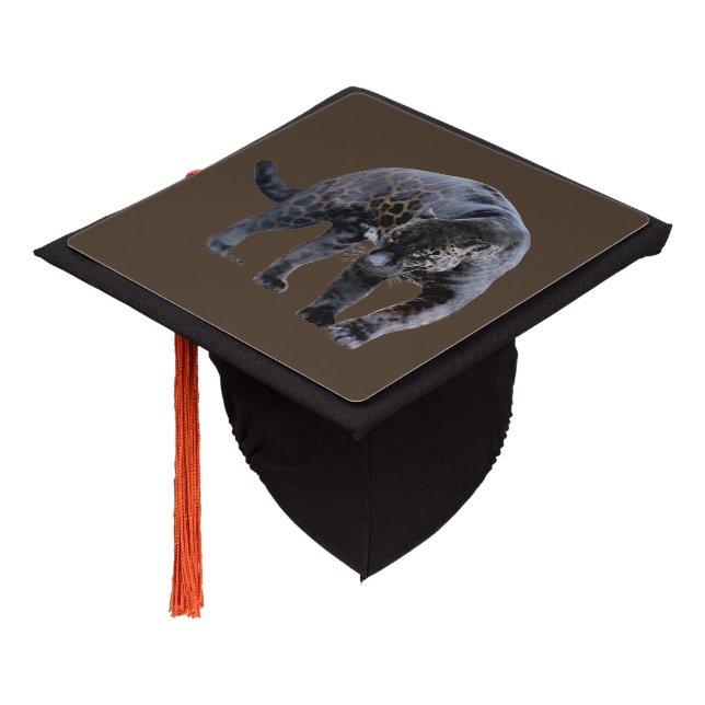 Jaguar Diablo brown graduation cap (Angled)