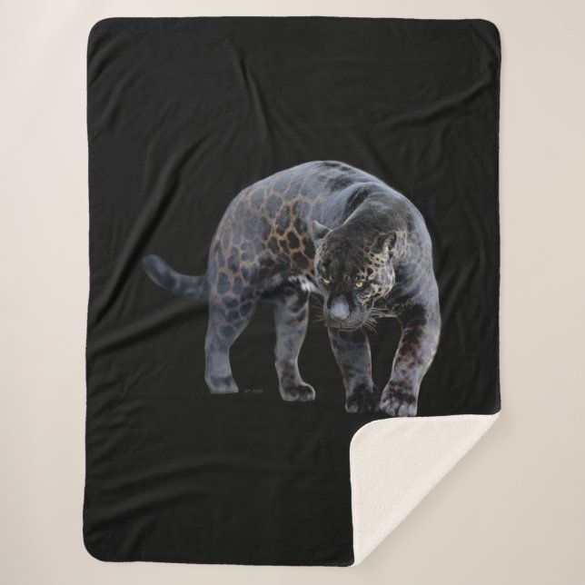 Jaguar Diablo couverture sherpa noire (Devant)