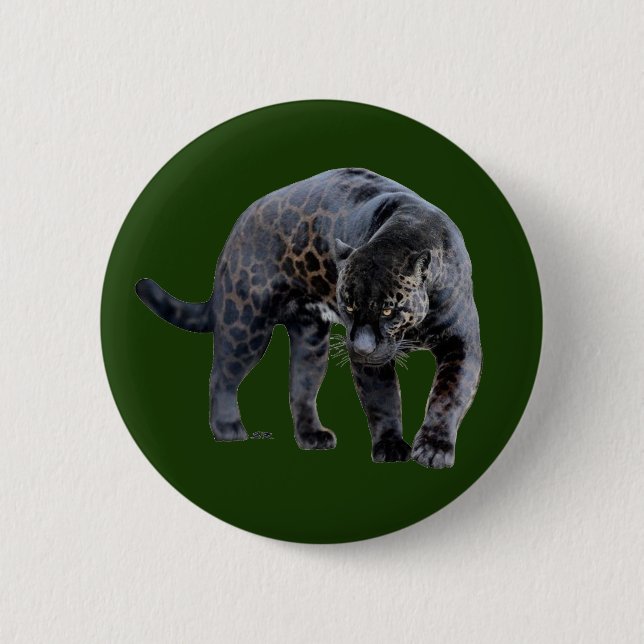 Jaguar Diablo green button (Front)