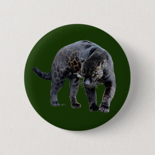 Jaguar Diablo green button