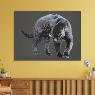 Jaguar Diablo grey canvas print
