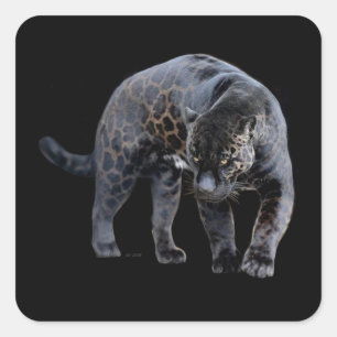Jaguar Diablo noir petit autocollants carré