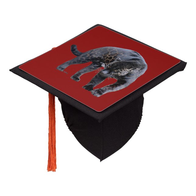 Jaguar Diablo red graduation cap (Angled)