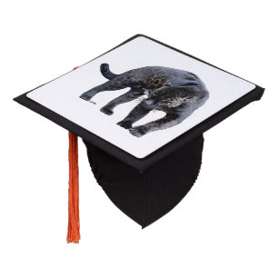 Jaguar Diablo white graduation cap