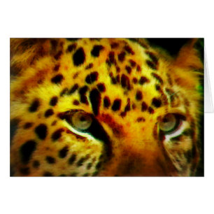 Jaguar Eyes