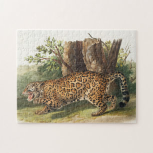Jaguar (Felis onca) Illustration Jigsaw Puzzle