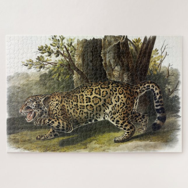 Jaguar (Felis Onca) Jigsaw Puzzle (Horizontal)