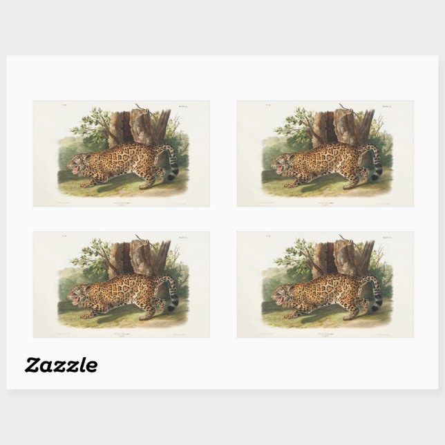 Jaguar (Felis onca) of North America (1845) Sticker (Sheet)